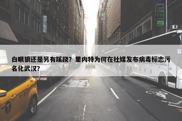 白眼狼还是另有蹊跷？里内特为何在社媒发布病毒标志污名化武汉？