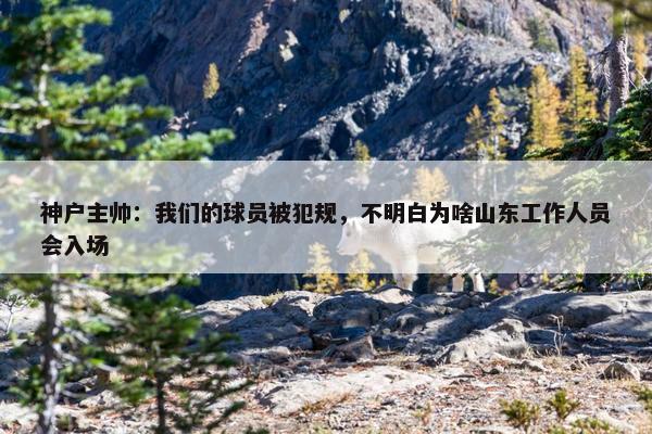 神户主帅：我们的球员被犯规，不明白为啥山东工作人员会入场