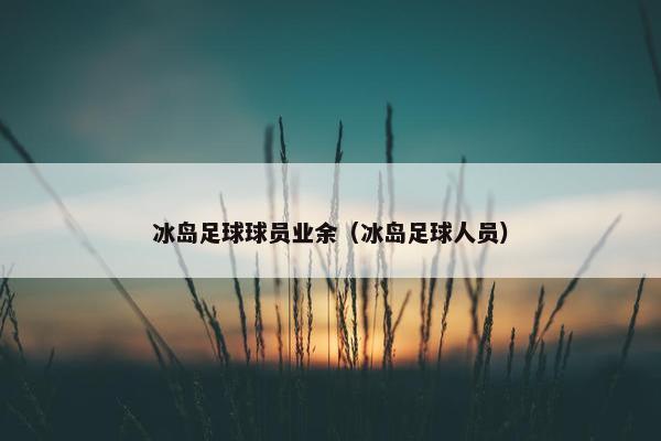 冰岛足球球员业余（冰岛足球人员）