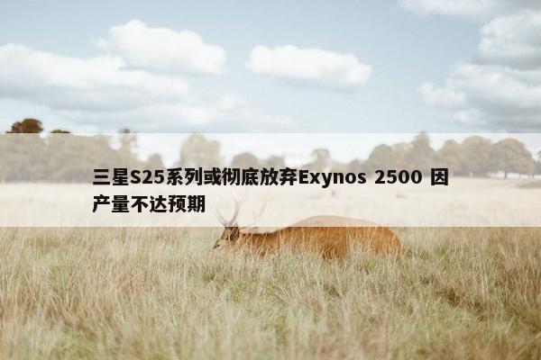 三星S25系列或彻底放弃Exynos 2500 因产量不达预期