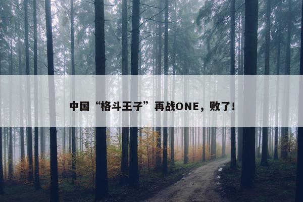 中国“格斗王子”再战ONE，败了！