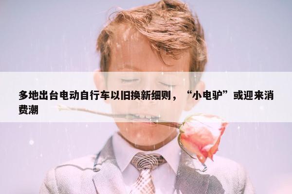 多地出台电动自行车以旧换新细则，“小电驴”或迎来消费潮