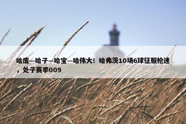 哈废—哈子—哈宝—哈伟大！哈弗茨10场6球征服枪迷，处子赛季009