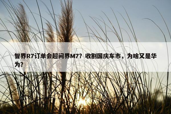 智界R7订单会超问界M7？收割国庆车市，为啥又是华为？