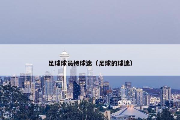 足球球员待球迷（足球的球迷）