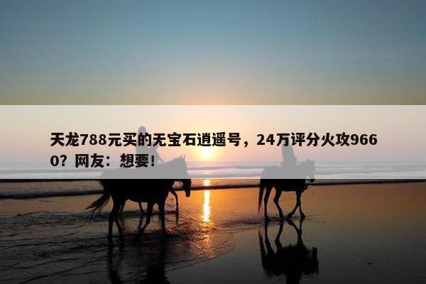 天龙788元买的无宝石逍遥号，24万评分火攻9660？网友：想要！