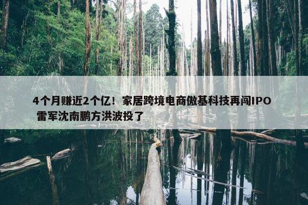 4个月赚近2个亿！家居跨境电商傲基科技再闯IPO  雷军沈南鹏方洪波投了