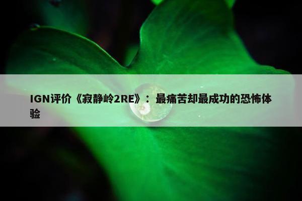 IGN评价《寂静岭2RE》：最痛苦却最成功的恐怖体验