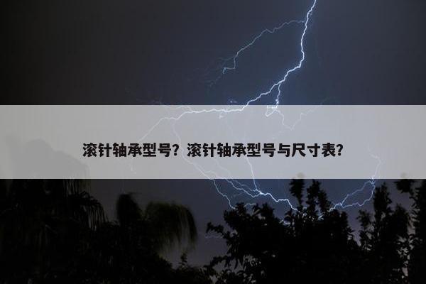 滚针轴承型号？滚针轴承型号与尺寸表？