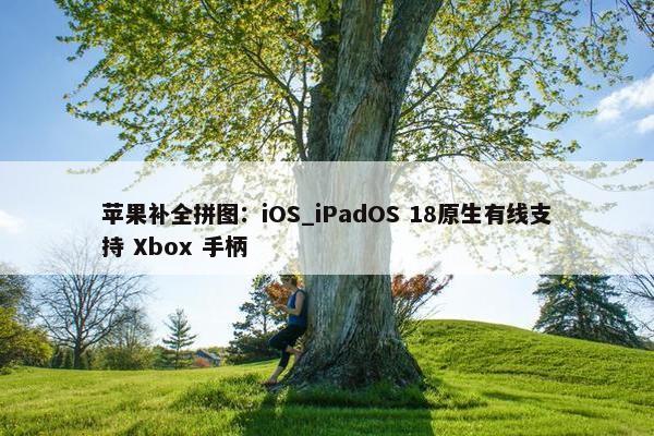 苹果补全拼图：iOS_iPadOS 18原生有线支持 Xbox 手柄