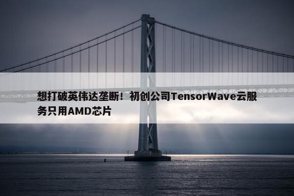 想打破英伟达垄断！初创公司TensorWave云服务只用AMD芯片