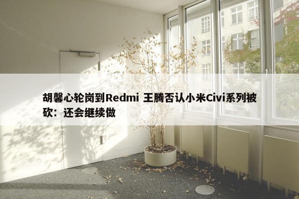 胡馨心轮岗到Redmi 王腾否认小米Civi系列被砍：还会继续做