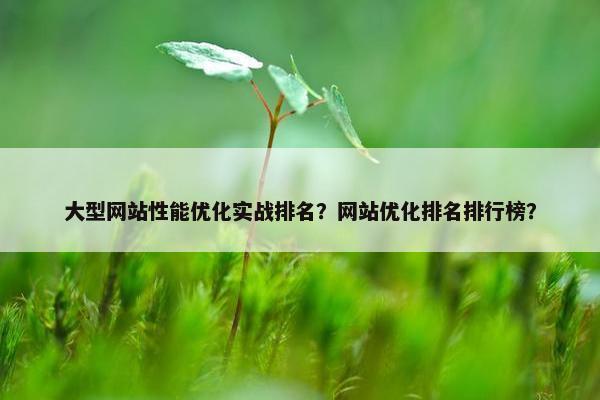 大型网站性能优化实战排名？网站优化排名排行榜？