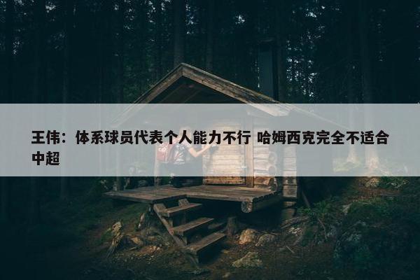 王伟：体系球员代表个人能力不行 哈姆西克完全不适合中超