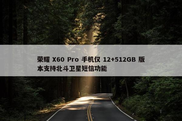 荣耀 X60 Pro 手机仅 12+512GB 版本支持北斗卫星短信功能