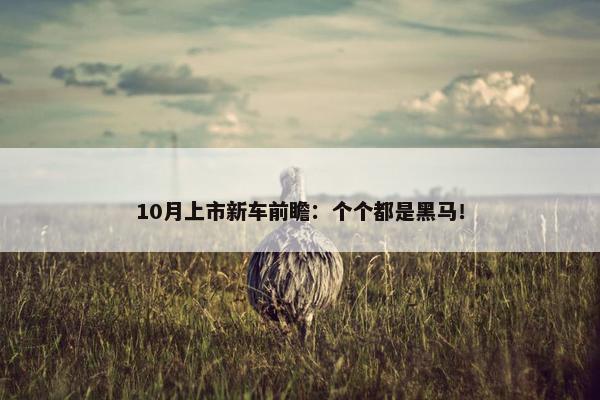 10月上市新车前瞻：个个都是黑马！