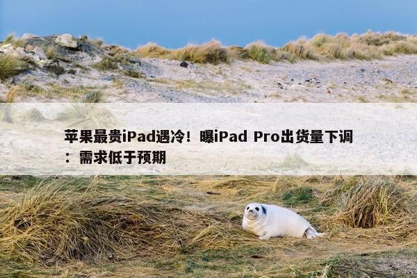 苹果最贵iPad遇冷！曝iPad Pro出货量下调：需求低于预期