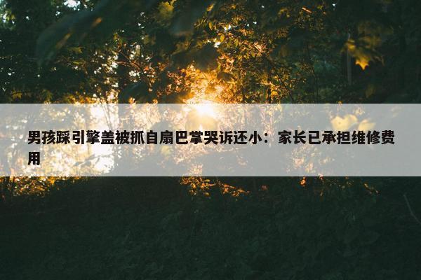 男孩踩引擎盖被抓自扇巴掌哭诉还小：家长已承担维修费用