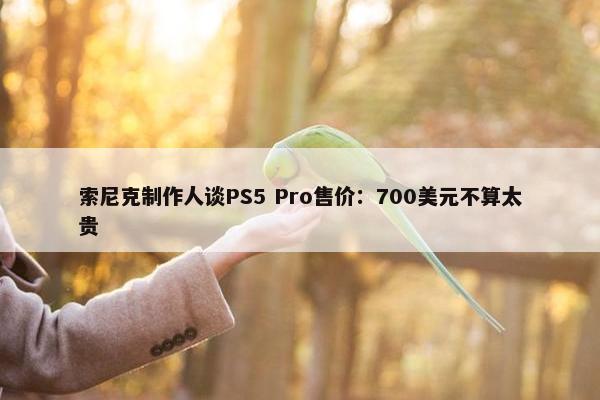 索尼克制作人谈PS5 Pro售价：700美元不算太贵