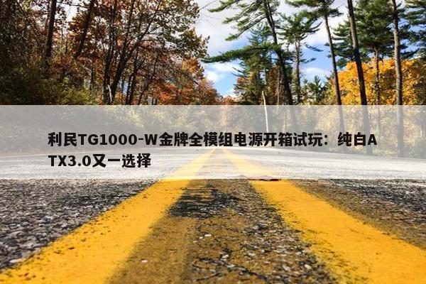 利民TG1000-W金牌全模组电源开箱试玩：纯白ATX3.0又一选择