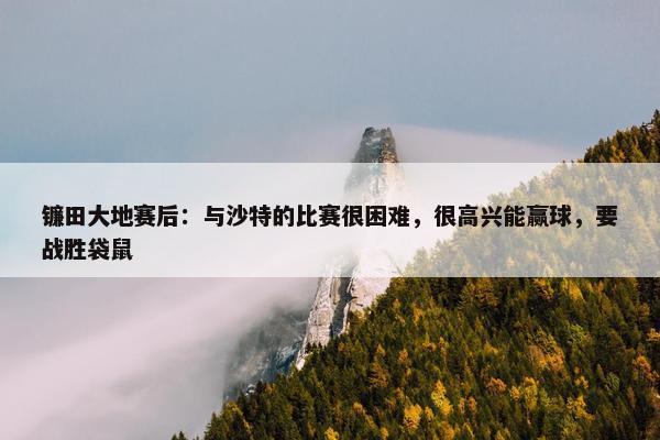 镰田大地赛后：与沙特的比赛很困难，很高兴能赢球，要战胜袋鼠