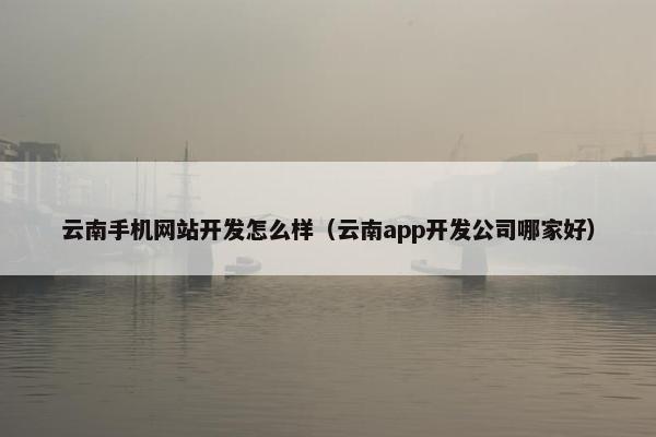 云南手机网站开发怎么样（云南app开发公司哪家好）