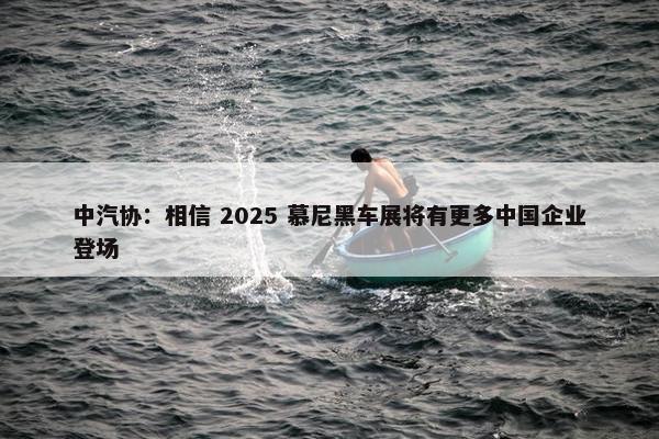 中汽协：相信 2025 慕尼黑车展将有更多中国企业登场