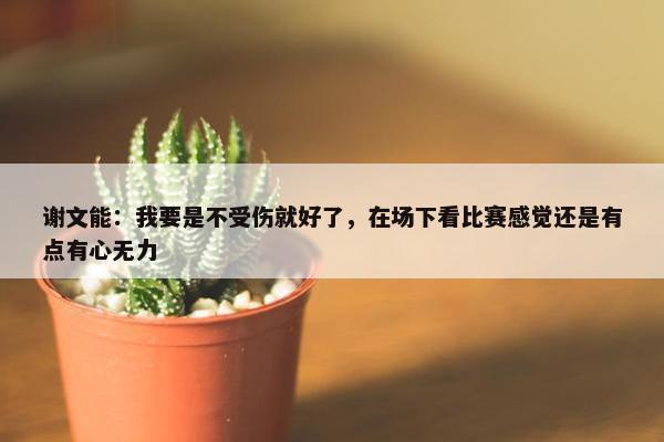 谢文能：我要是不受伤就好了，在场下看比赛感觉还是有点有心无力