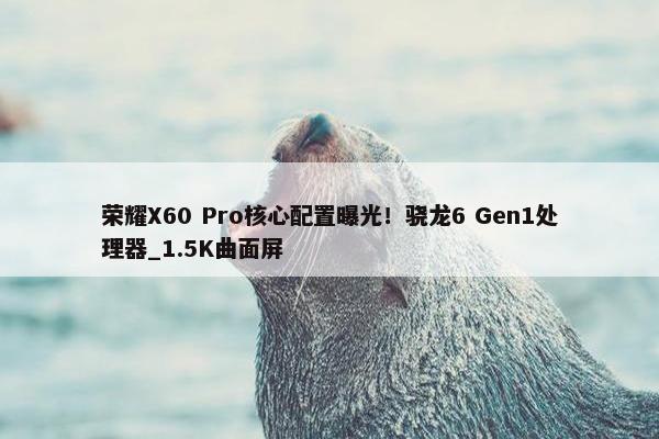 荣耀X60 Pro核心配置曝光！骁龙6 Gen1处理器_1.5K曲面屏