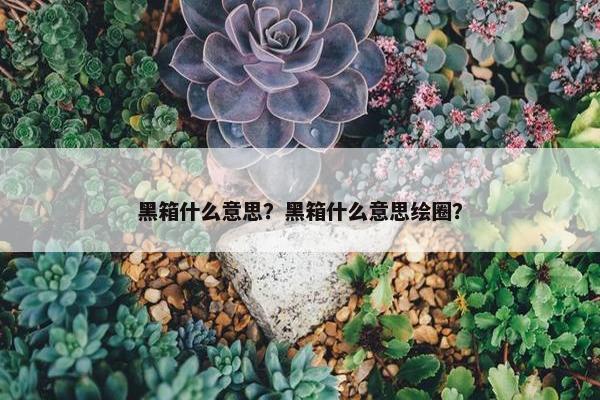 黑箱什么意思？黑箱什么意思绘圈？