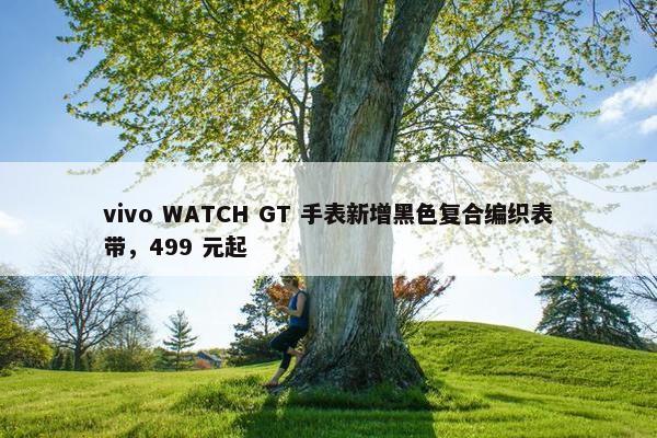 vivo WATCH GT 手表新增黑色复合编织表带，499 元起