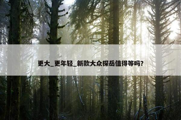 更大_更年轻_新款大众探岳值得等吗？