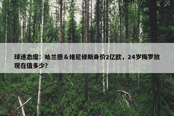 球迷态度：哈兰德＆维尼修斯身价2亿欧，24岁梅罗放现在值多少？