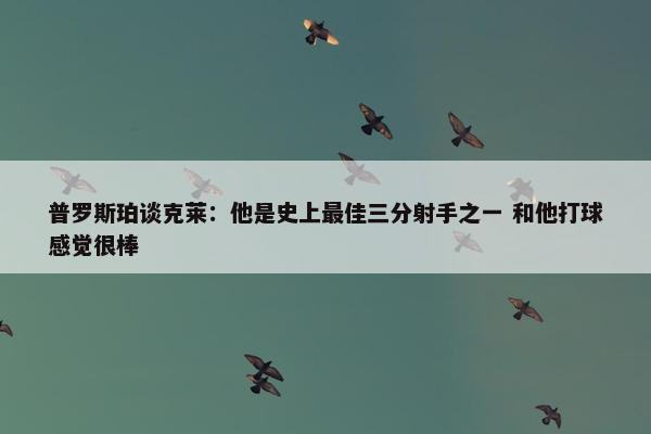 普罗斯珀谈克莱：他是史上最佳三分射手之一 和他打球感觉很棒