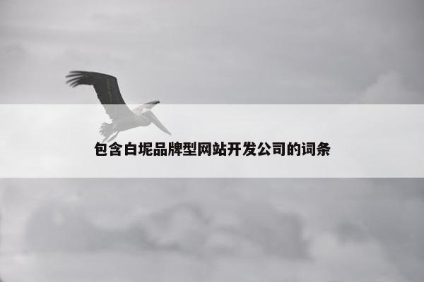 包含白坭品牌型网站开发公司的词条