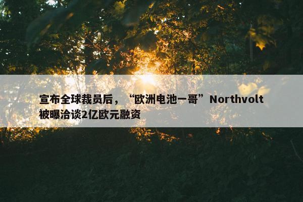 宣布全球裁员后，“欧洲电池一哥”Northvolt被曝洽谈2亿欧元融资