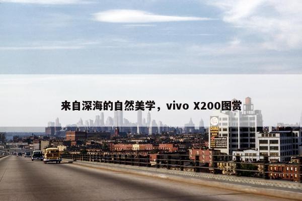 来自深海的自然美学，vivo X200图赏