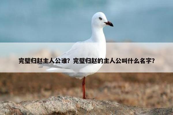 完璧归赵主人公谁？完璧归赵的主人公叫什么名字？