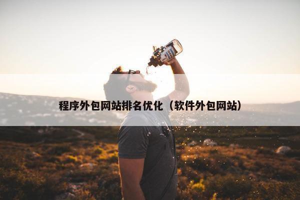 程序外包网站排名优化（软件外包网站）