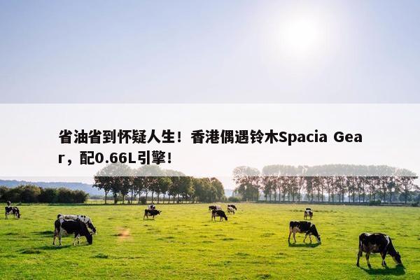 省油省到怀疑人生！香港偶遇铃木Spacia Gear，配0.66L引擎！