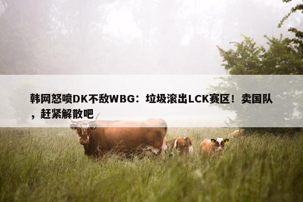 韩网怒喷DK不敌WBG：垃圾滚出LCK赛区！卖国队，赶紧解散吧