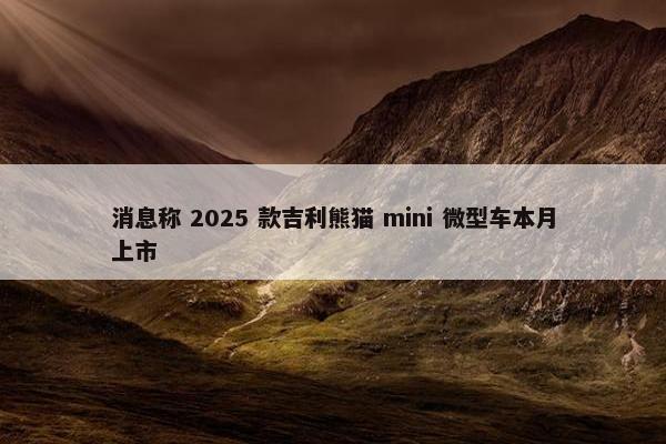 消息称 2025 款吉利熊猫 mini 微型车本月上市