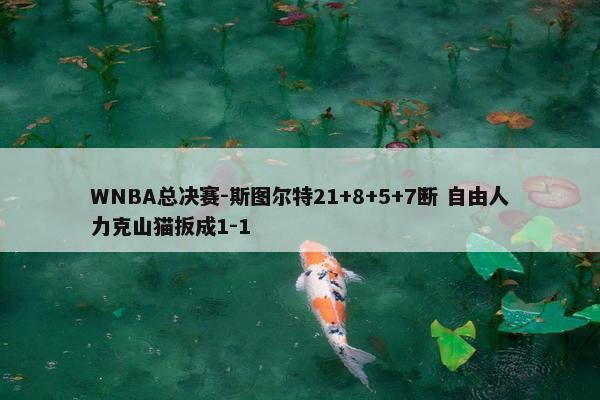 WNBA总决赛-斯图尔特21+8+5+7断 自由人力克山猫扳成1-1