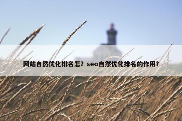 网站自然优化排名怎？seo自然优化排名的作用？