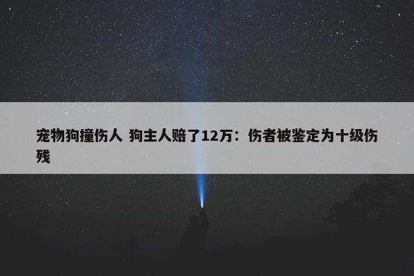 宠物狗撞伤人 狗主人赔了12万：伤者被鉴定为十级伤残