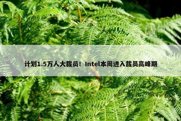 计划1.5万人大裁员！Intel本周进入裁员高峰期