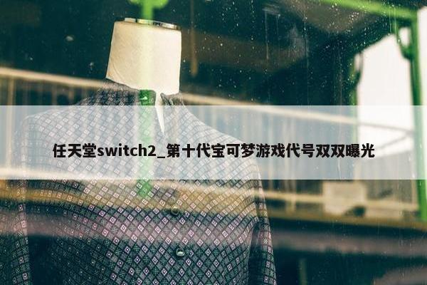 任天堂switch2_第十代宝可梦游戏代号双双曝光