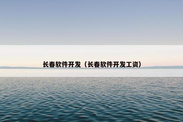 长春软件开发（长春软件开发工资）