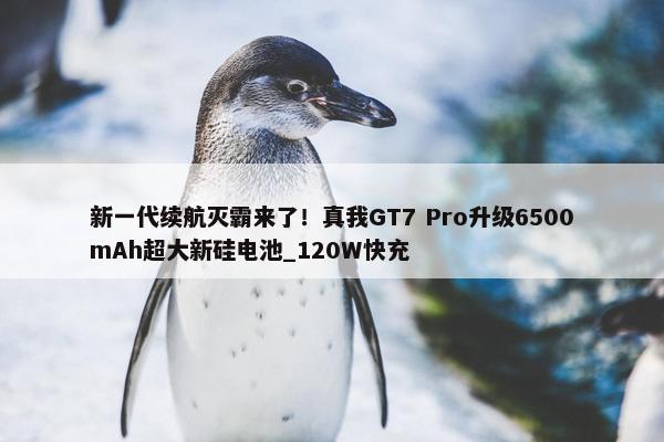 新一代续航灭霸来了！真我GT7 Pro升级6500mAh超大新硅电池_120W快充