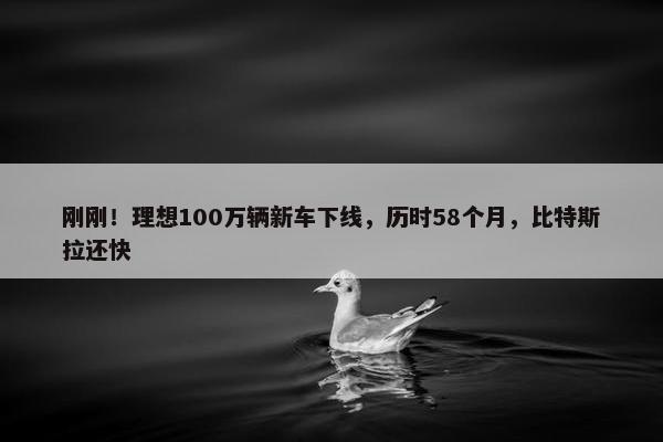 刚刚！理想100万辆新车下线，历时58个月，比特斯拉还快